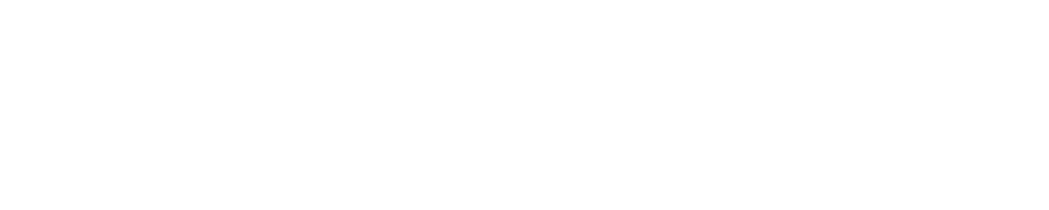 logo light